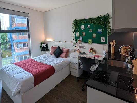 Economy Studio room type